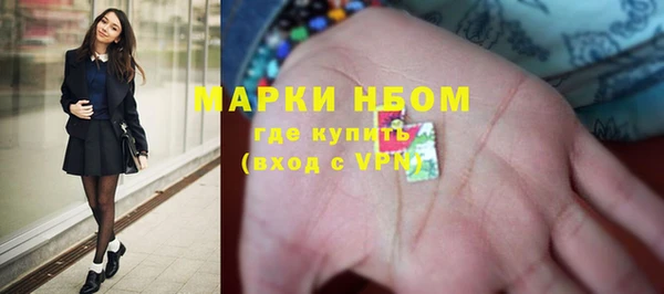 СК Зерноград