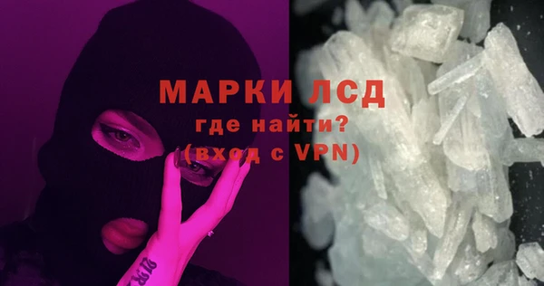 СК Зерноград