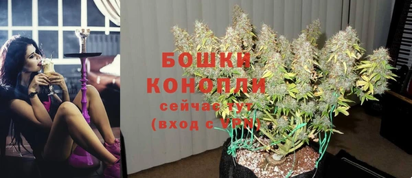 шишки Зеленодольск